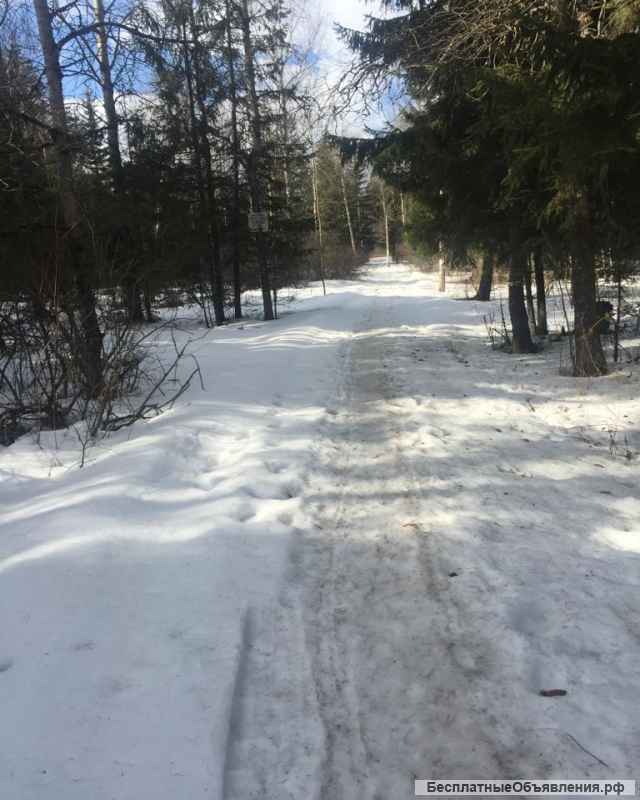 Кирпичный дом на 5, 7 сотках. Рядом лес. Недалеко река, ж/д станция