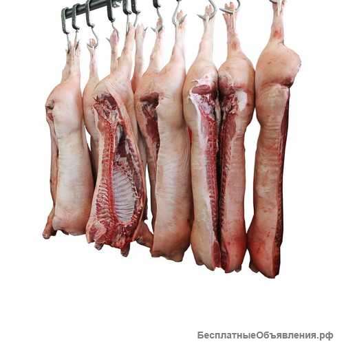 Мясо говядина, свинина, цыпленка бройлера
