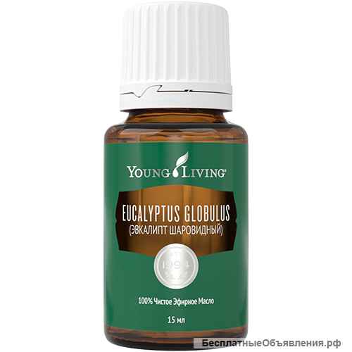 Эфирные масла YOUNG LIVING