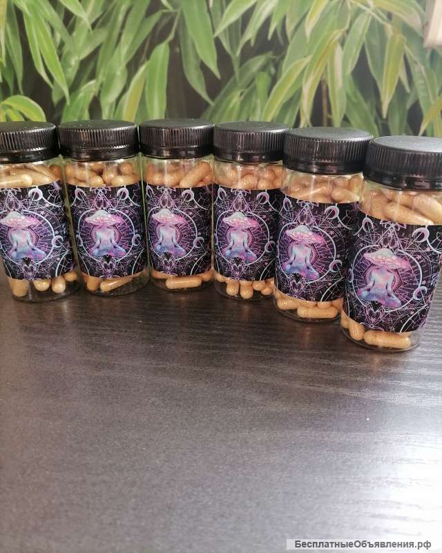 Мухомор пантерные в капсулах