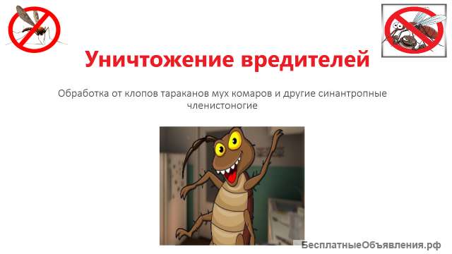 Уничтожение клопов тараканов муравьев комаров и других синантропных членистоногих