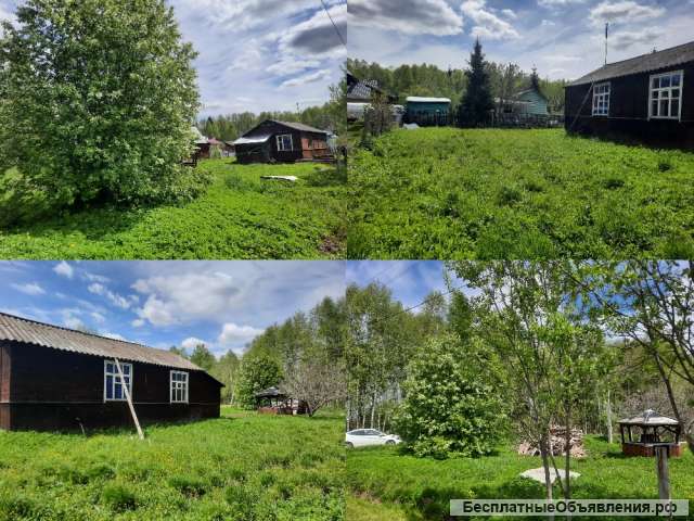 Дом дачный 50 м2 в с/т рядом с лесом