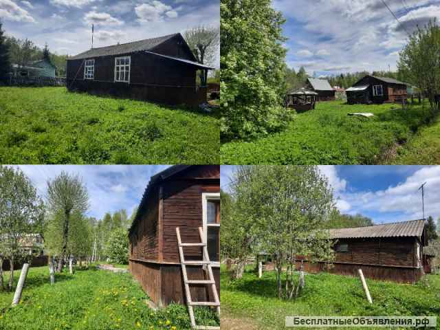 Дом дачный 50 м2 в с/т рядом с лесом