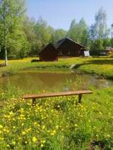 Дачу в Витебской области