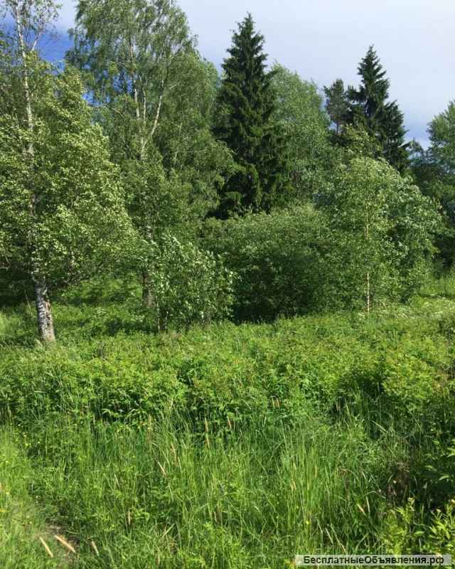 Участок в поселке Великое