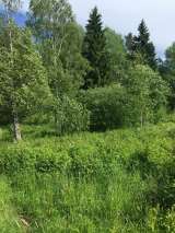 Участок в поселке Великое