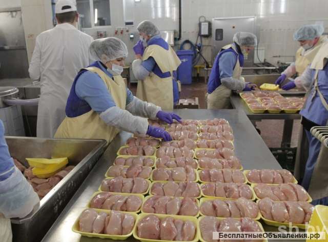 Разнорабочий на Птицефабрику/ Вахта с проживанием