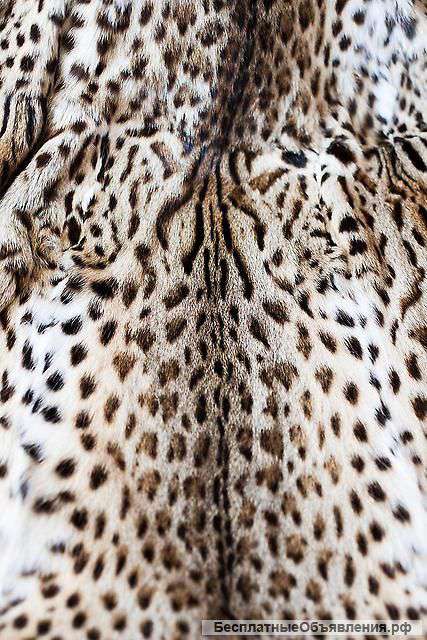 Шуба из оцелота