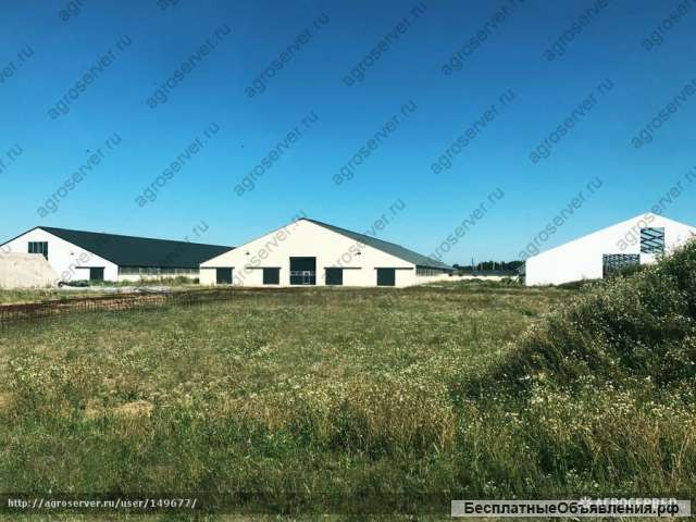Молочно-товарная ферма на 1200 голов крс