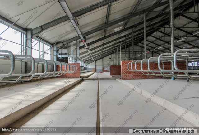 Молочно-товарная ферма на 1200 голов крс