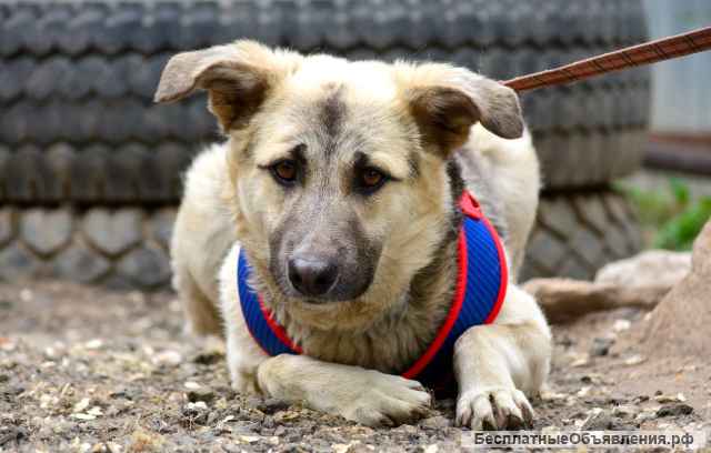 Парень для охраны