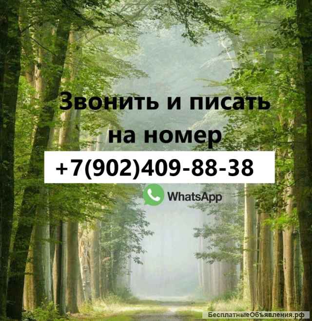 Сдам комнату 18 кв.м. метро Планерная