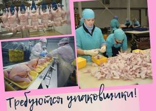 РАБОТА ВАХТОЙ Упаковщик на склад 45/60 дней
