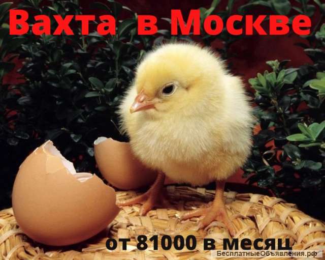 Сотрудник(ца) Вахта в Мосвке от 15 смен