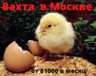 Сотрудник(ца) Вахта в Мосвке от 15 смен