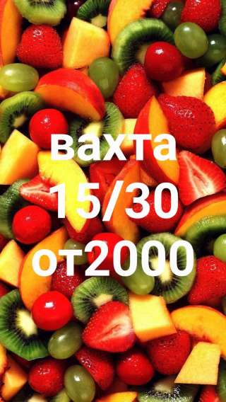 Фасовщик, Упаковщик, вахта Москва, с проживанием 15/30,60000-70000