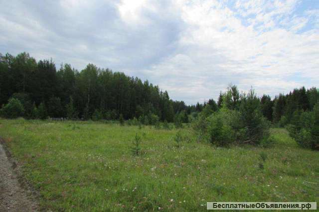 Земельный участок г.Карпинск, п.Сосновка