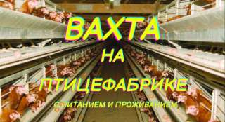 Требуются Рабочие на птицефабрику