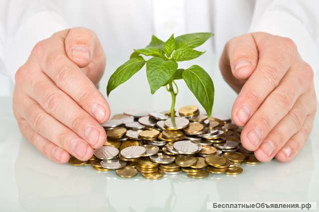 Новая программа финансирования в рамках поддержки предпринимателей