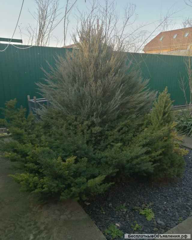 Отличный дом в Койсуге