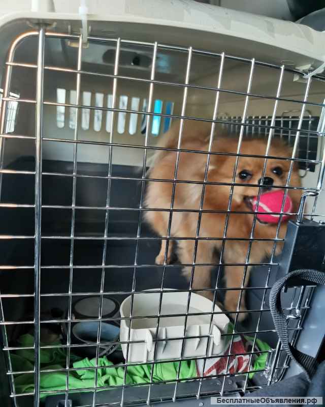 Грузоперевозки авиатранспортом из Челябинска