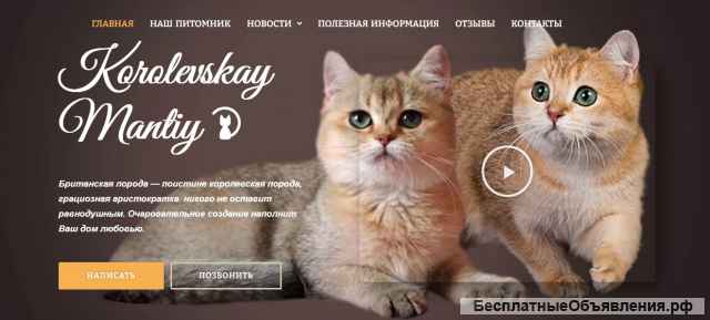 Создание и продвижение сайтов