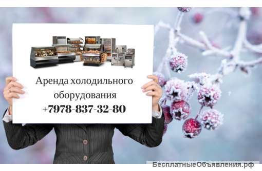 Аренда холодильных витрин в Крыму