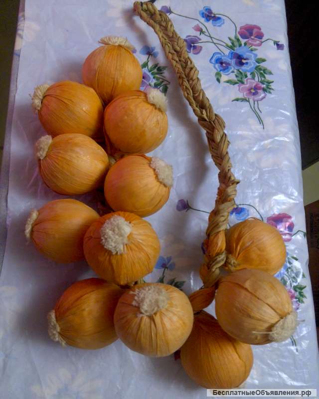 Лук декоративный