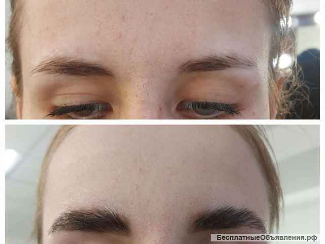 Мастер бровист