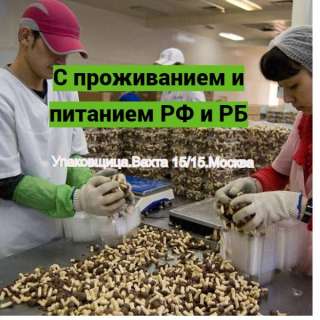 Упаковщица на производство. Вахта 15/15 с проживанием