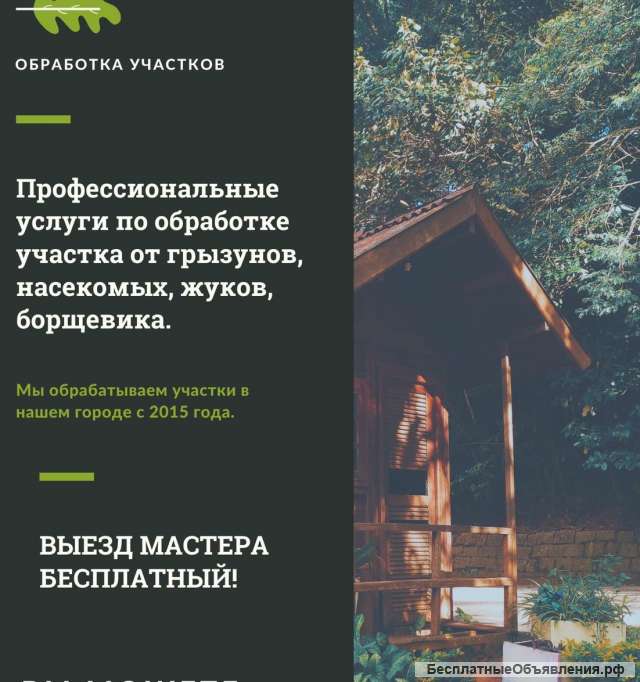 Дезинфекция