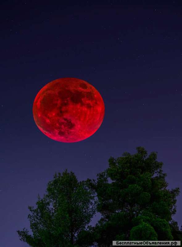 Ведьма Вета