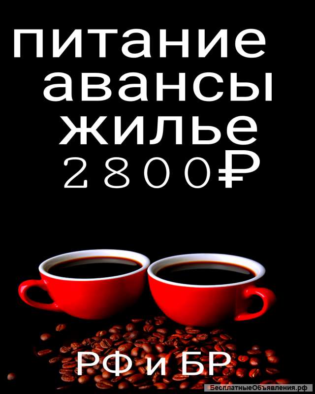 ВАХТА от 15 дней Москва Упаковщик/ца Жильё и Еда Работа