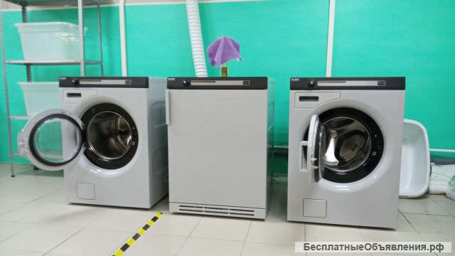 Сотрудник в прачечную