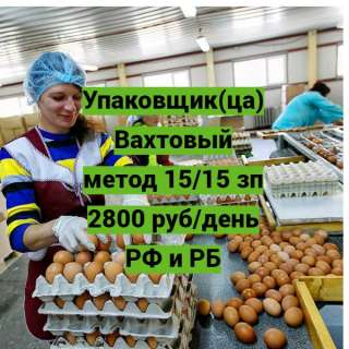 Вахта 15-15, Упаковщик на птицефабрику с питанием и проживанием