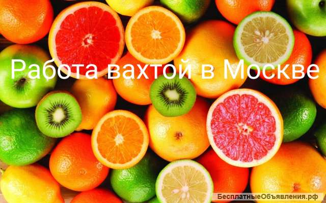 Работа в Москве вахта 15/30