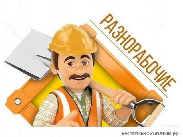 Грузчики и Разнорабочие