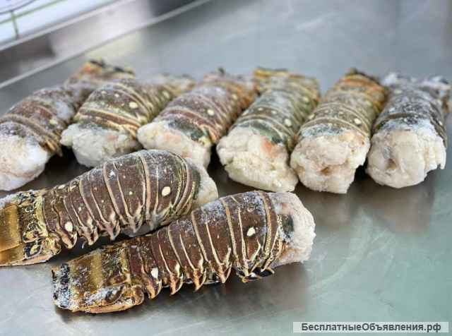 Морепродукты от поставщиков (свежие + бесплатная доставка + гарантия на продукцию)