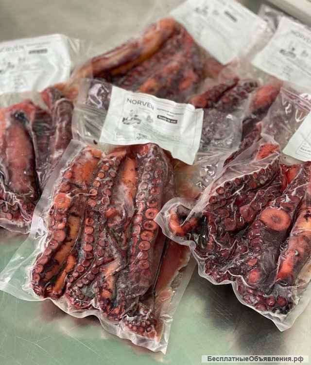 Морепродукты от поставщиков (свежие + бесплатная доставка + гарантия на продукцию)