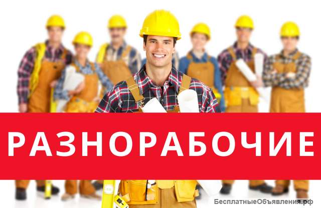 Разнорабочие