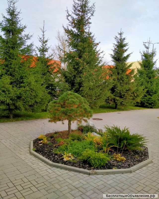 Аренда коммерческой недвижимости