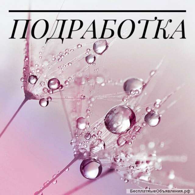 Помощник экономиста