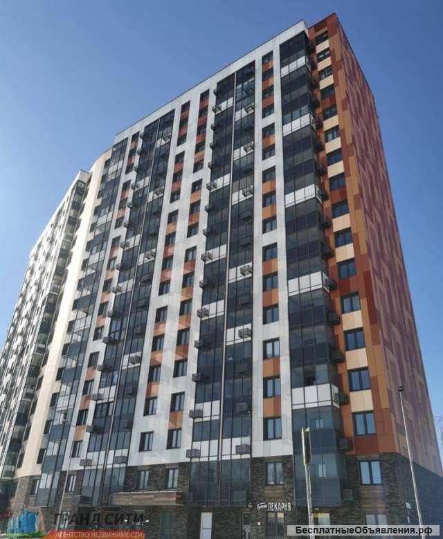 1 комнатная квартира Москва ул Чароитовая 1 корп 1