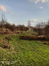 Земельный участок д. Коноплино 6