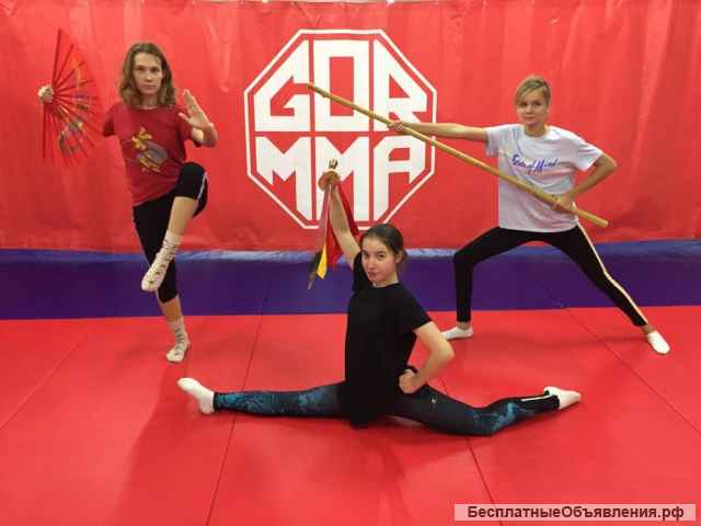 Залы единоборств и танцев