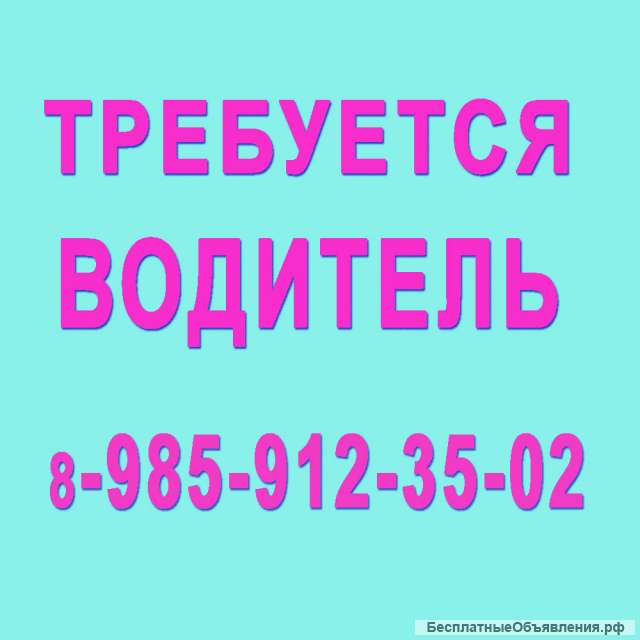 Водитель -Горки 6