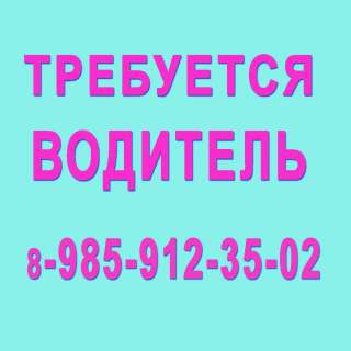 Водитель -Горки 6