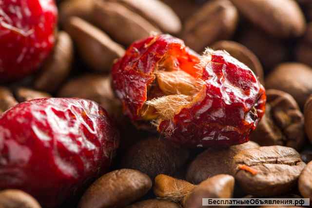 Оптом: Ferment coffee - кофе в зернах ферментированный с ягодами Дальнего Востока