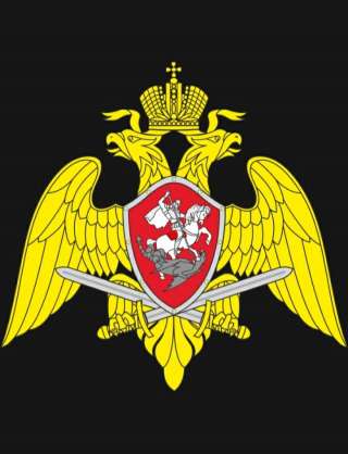 Служба в росгвардии