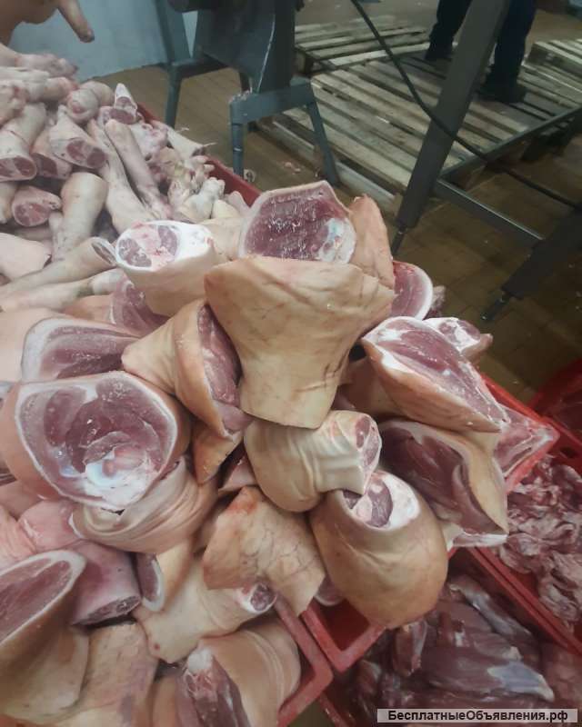 Поставки оптом мяса свинины, говядины, баранины, птицы